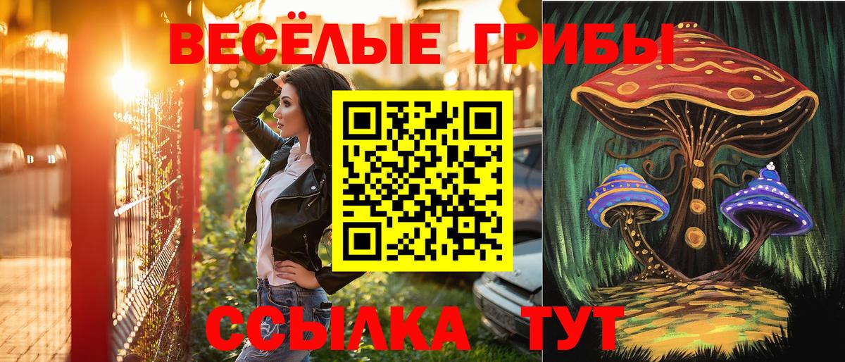Псилоцибиновые грибы мухоморы  Вход с VPN  Галлюциногенные грибы MAGIC MUSHROOMS  Луга 